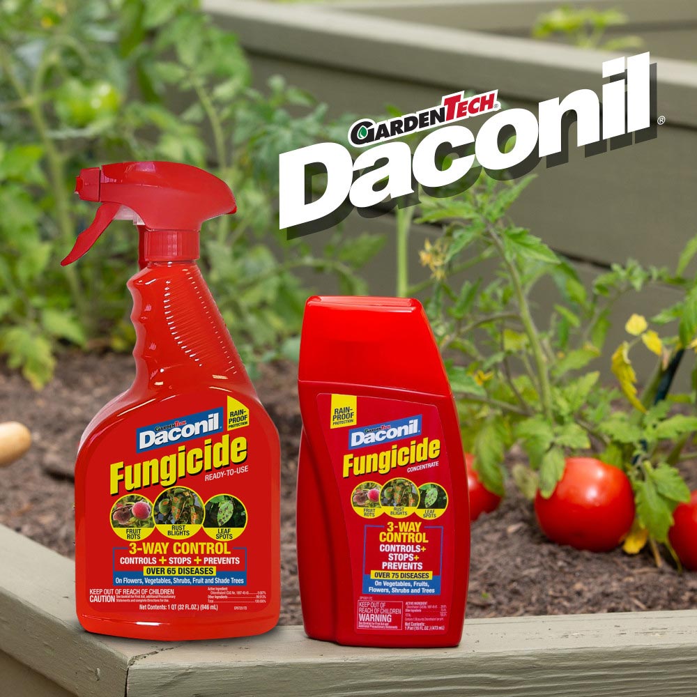daconil-ready-to-use-5