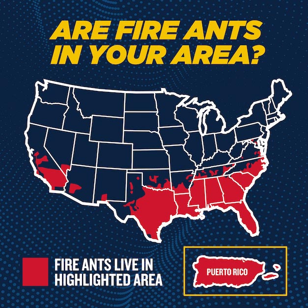 What States Have Invasive Fire Ants Spread To?