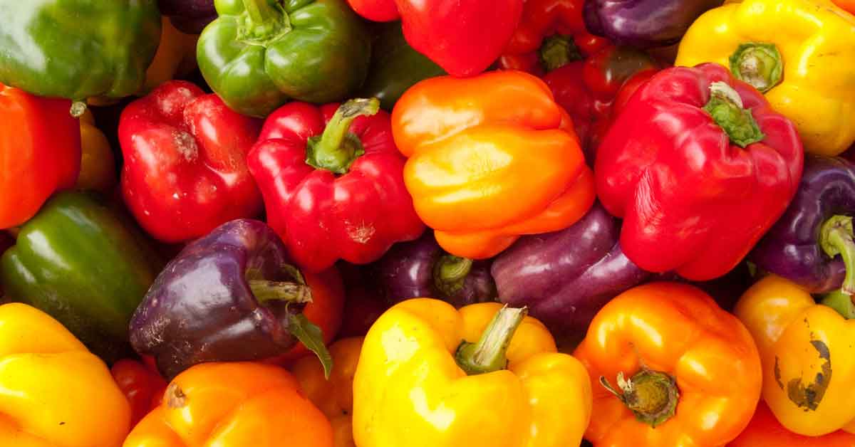 Growing Your Own Bell Peppers
