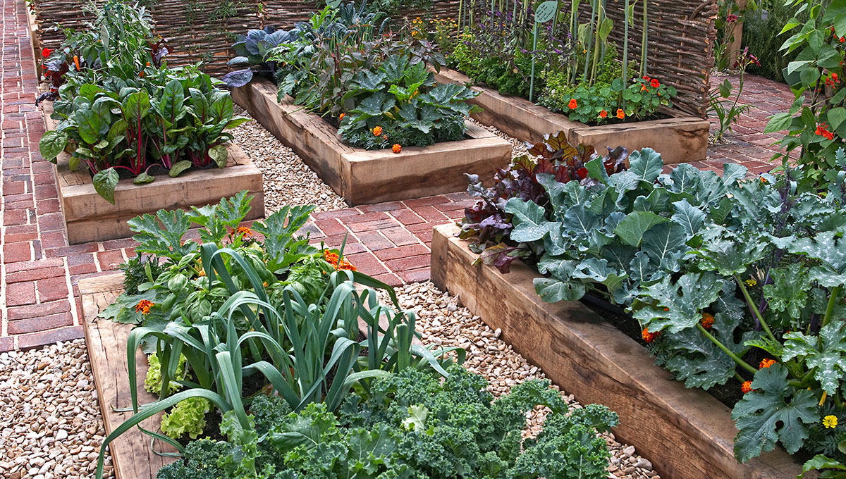 kitchen garden