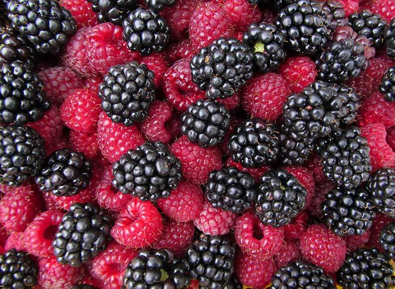 Blackberries Closeup 
