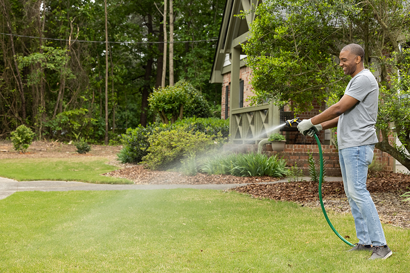 simple effective fire ant control