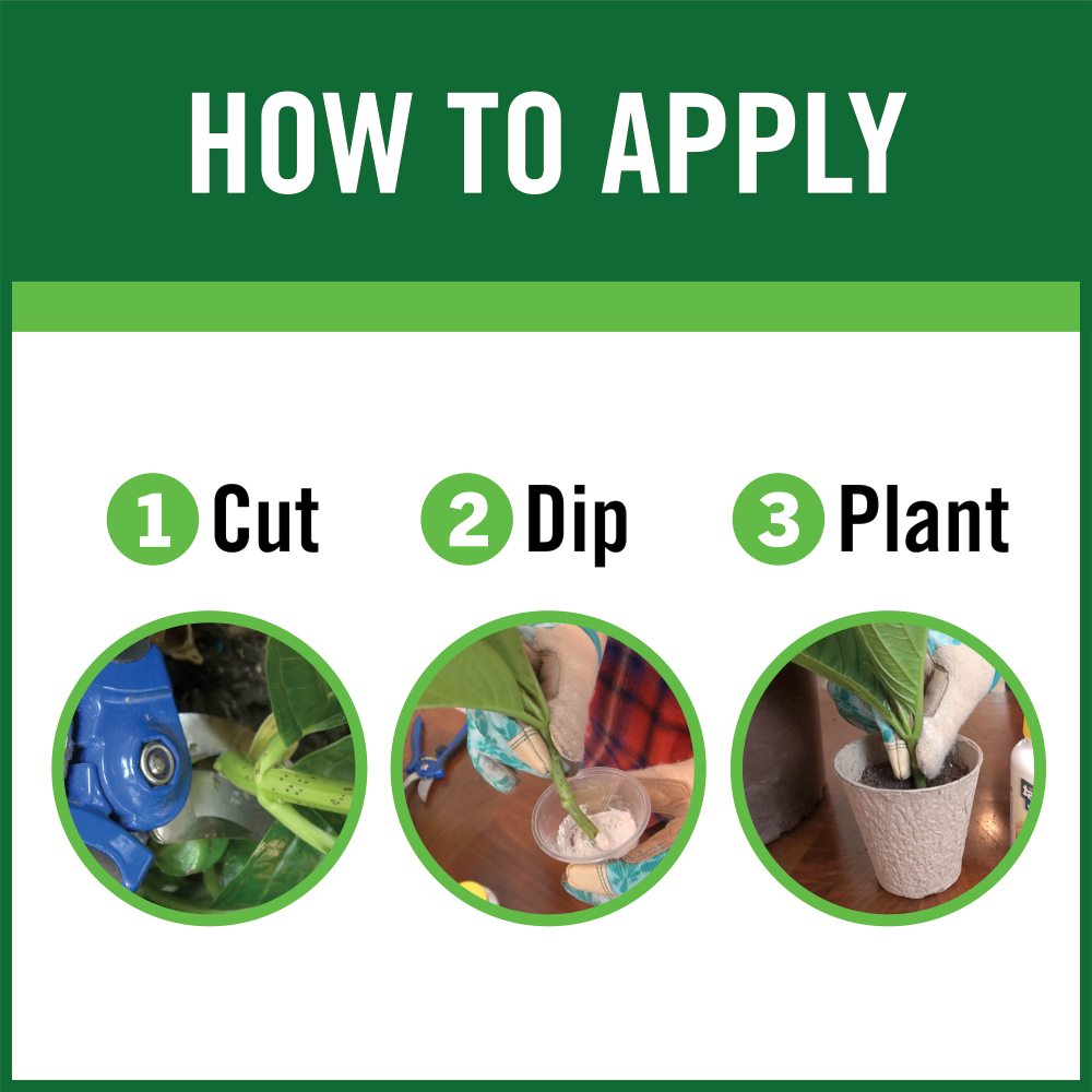 rootboost rooting hormone