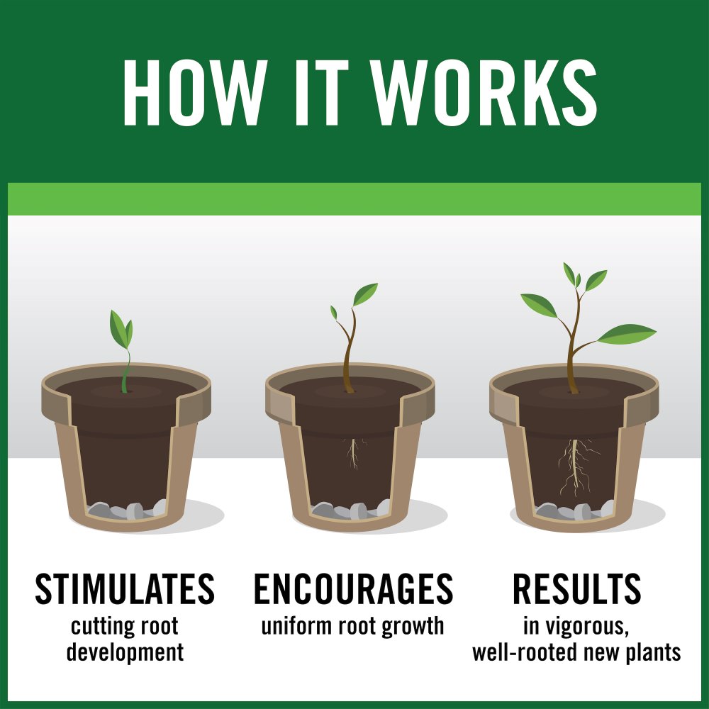 rootboost rooting hormone