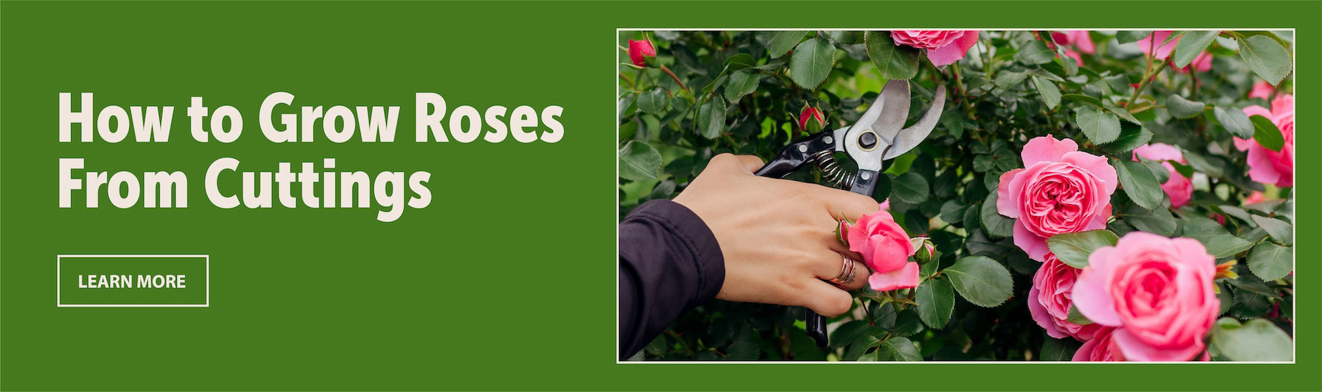 Homepage_ArticleFeature_1920x570