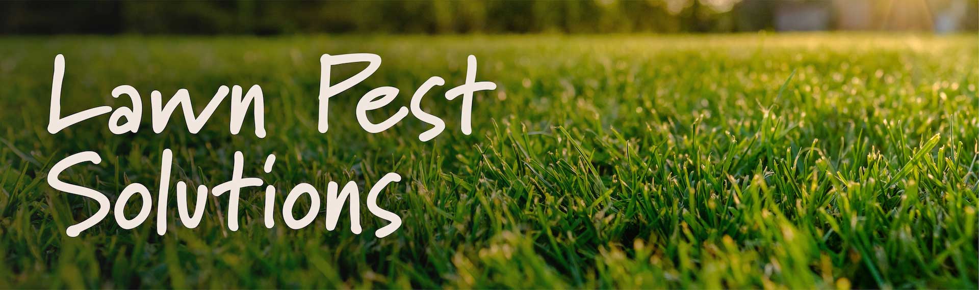 LawnPestSolutions_Header_1920x570