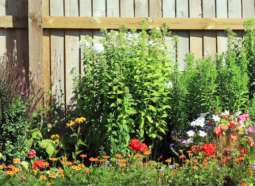 Multi-PurposeControl_Button_500x365