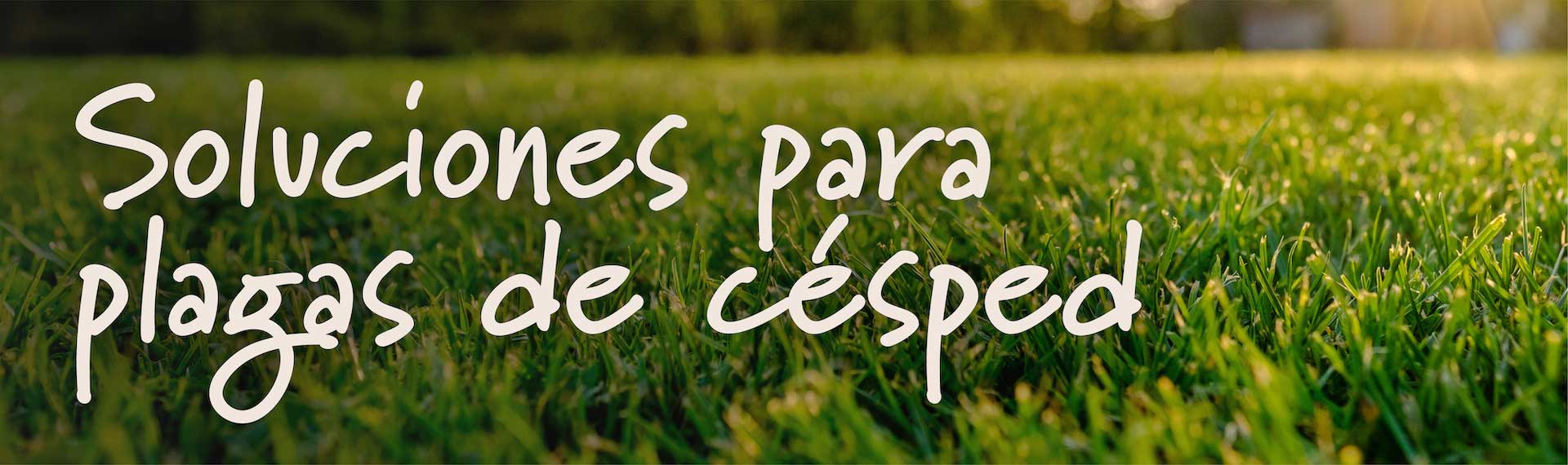 LawnPestSolutions_Header