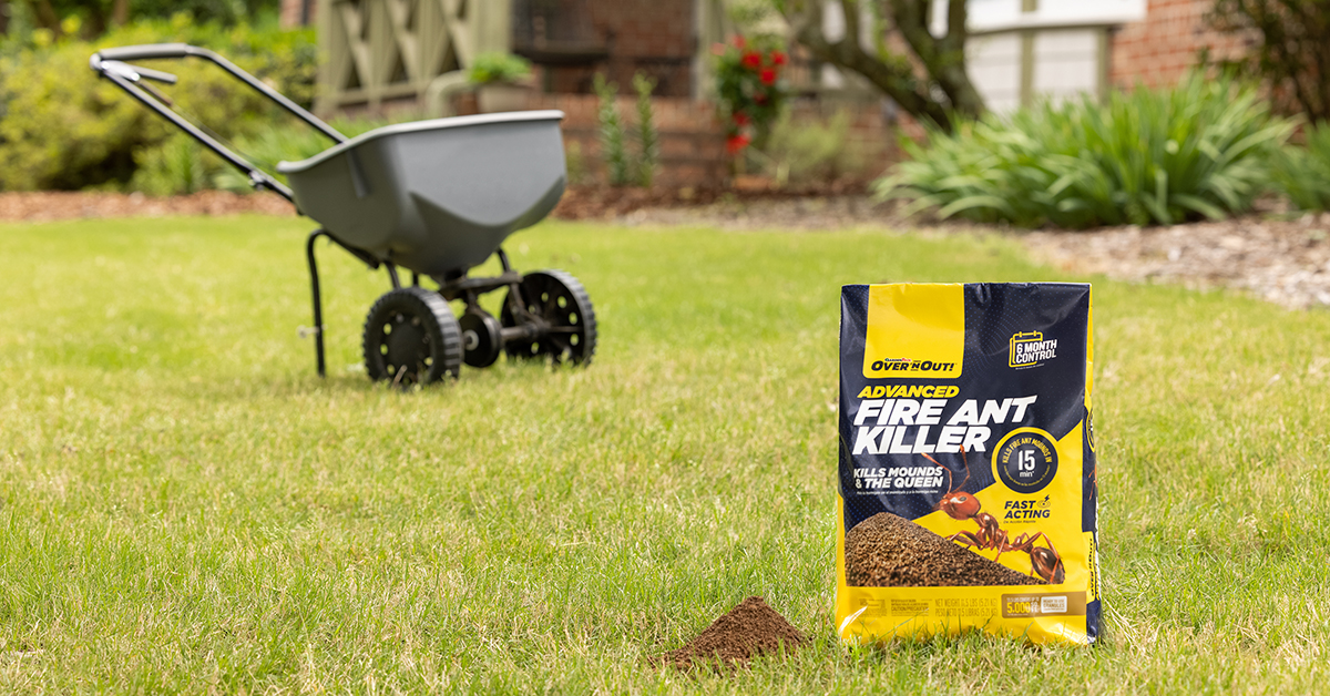 simple-effective-fire-ant-control-1